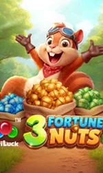 3 Fortune Nuts
